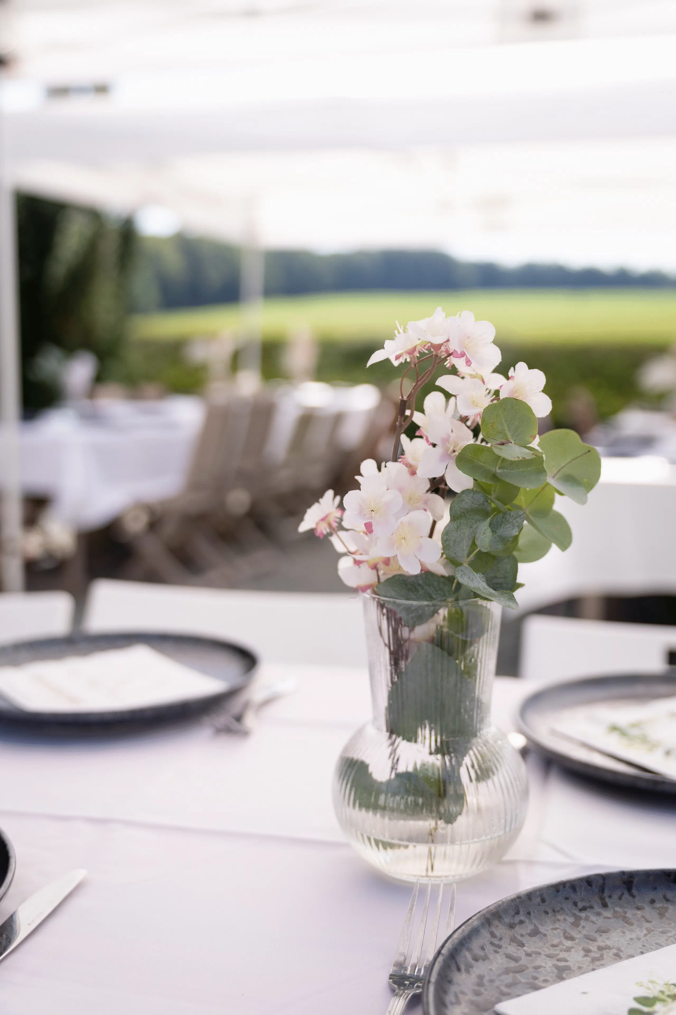 Eline Lonchay - Ally & Zem - Brunch -3